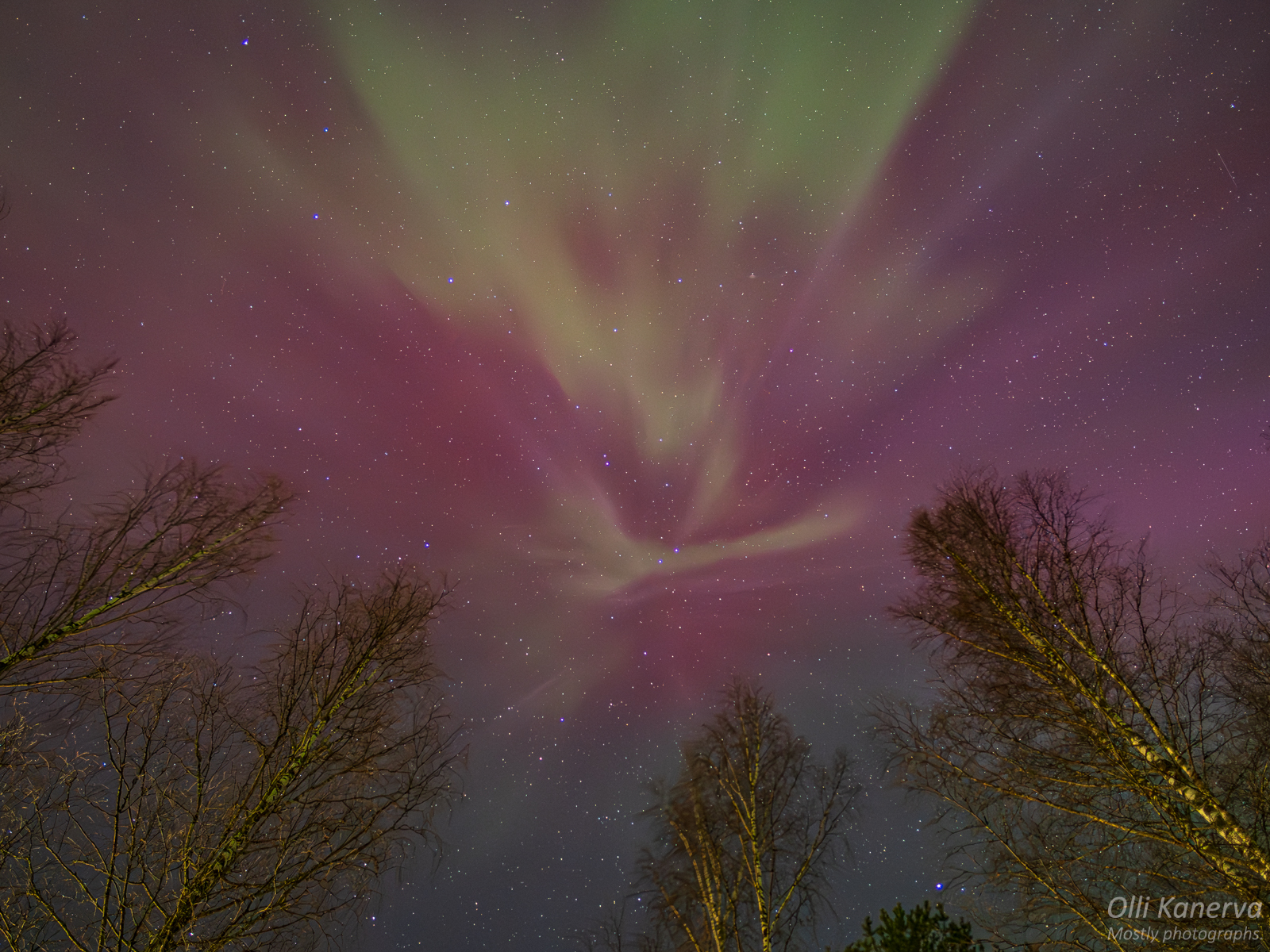 Kevätpäiväntasauksen reposet